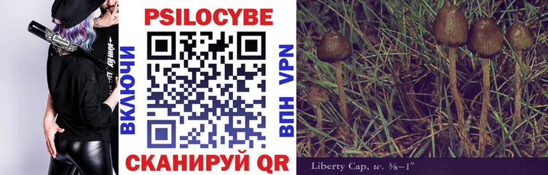 Псилоцибиновые грибы Psilocybine cubensis  купить наркоту  Борисоглебск 